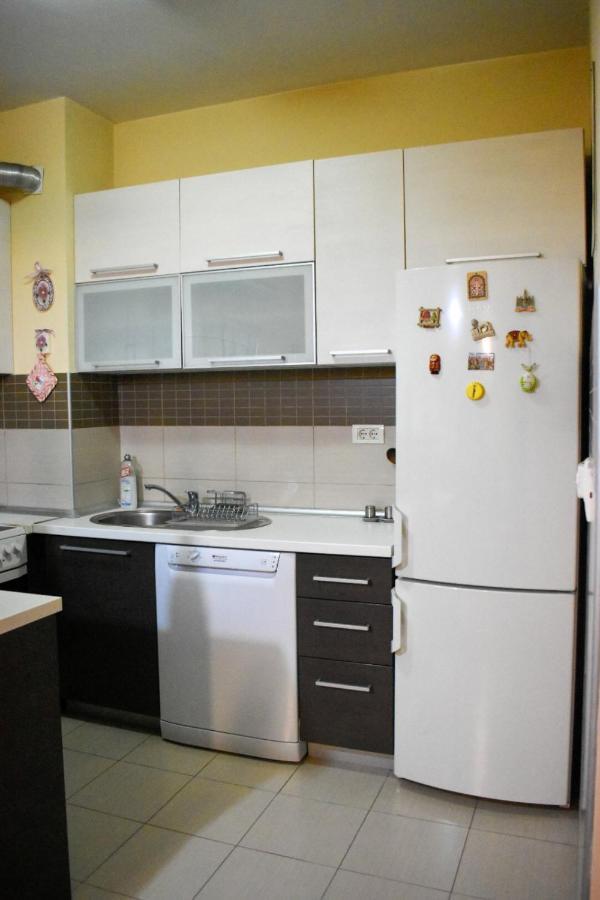 Apartman Sara 2 Podgoriţa Exterior foto