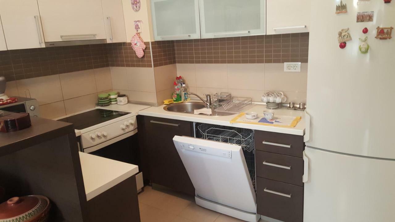 Apartman Sara 2 Podgoriţa Exterior foto